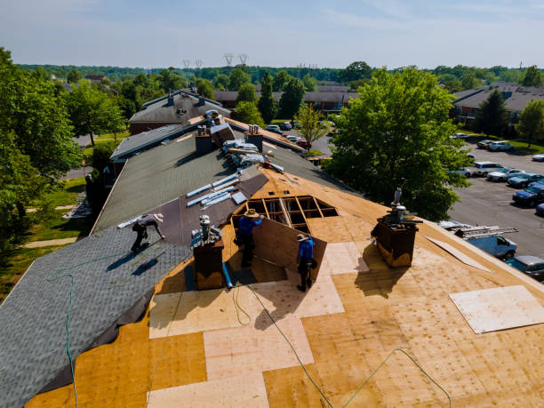 Roof Gutter Cleaning in Pelham, GA