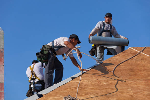 Best New Roof Installation  in Pelham, GA