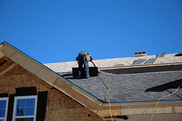 Best Roof Gutter Cleaning  in Pelham, GA