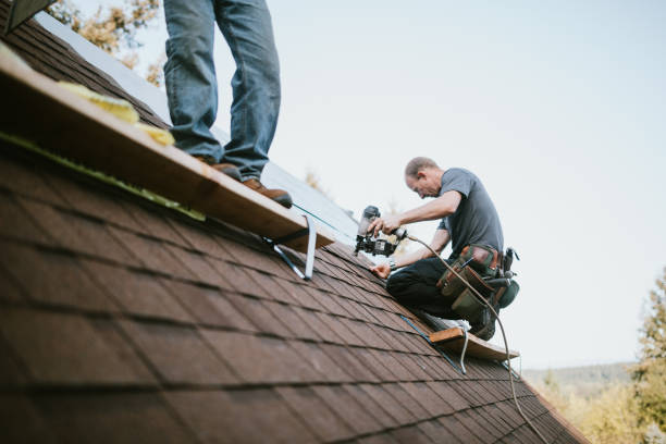 Best Storm Damage Roof Repair  in Pelham, GA